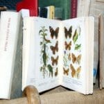 Chemia w przemyśle spożywczym: co naprawdę jemy?