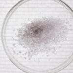 Kryształki soli w szalce Petriego widziane z góry